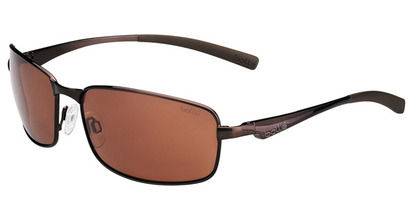  polarized/shiny brown