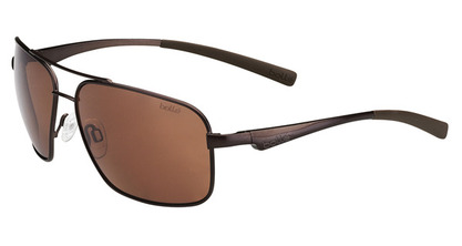  polarized/matte brown