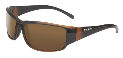  polarized/matte brushed brown