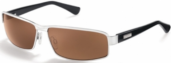  as shown/shiny silver polarized a 14