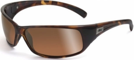  dark tortoise/polarized inland old