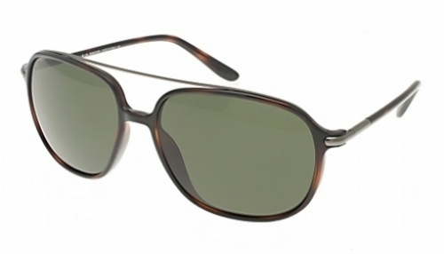  gunmetal dark tortoise/grey green lens