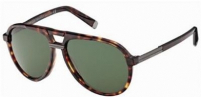  tortoise/gunmetal green polarized