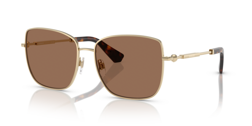  dark brown/light gold