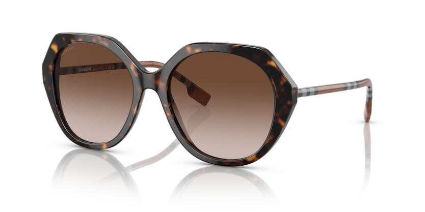  brown gradient/dark havana