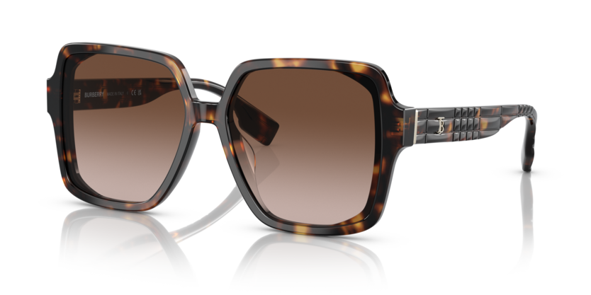  brown gradient/dark havana