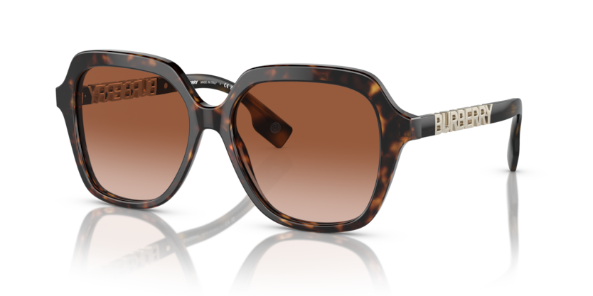  brown gradient/dark havana