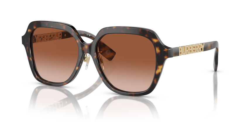  brown gradient/dark havana