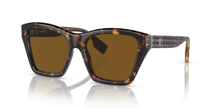  brown polarized/dark havana