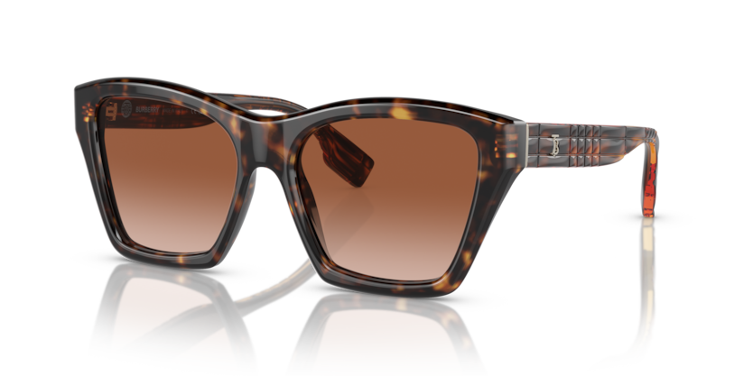  brown gradient/dark havana