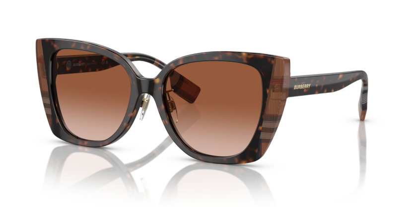  brown gradient/dark havana/check brown