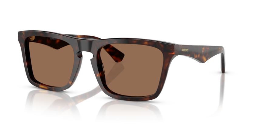 BURBERRY 4434 300273