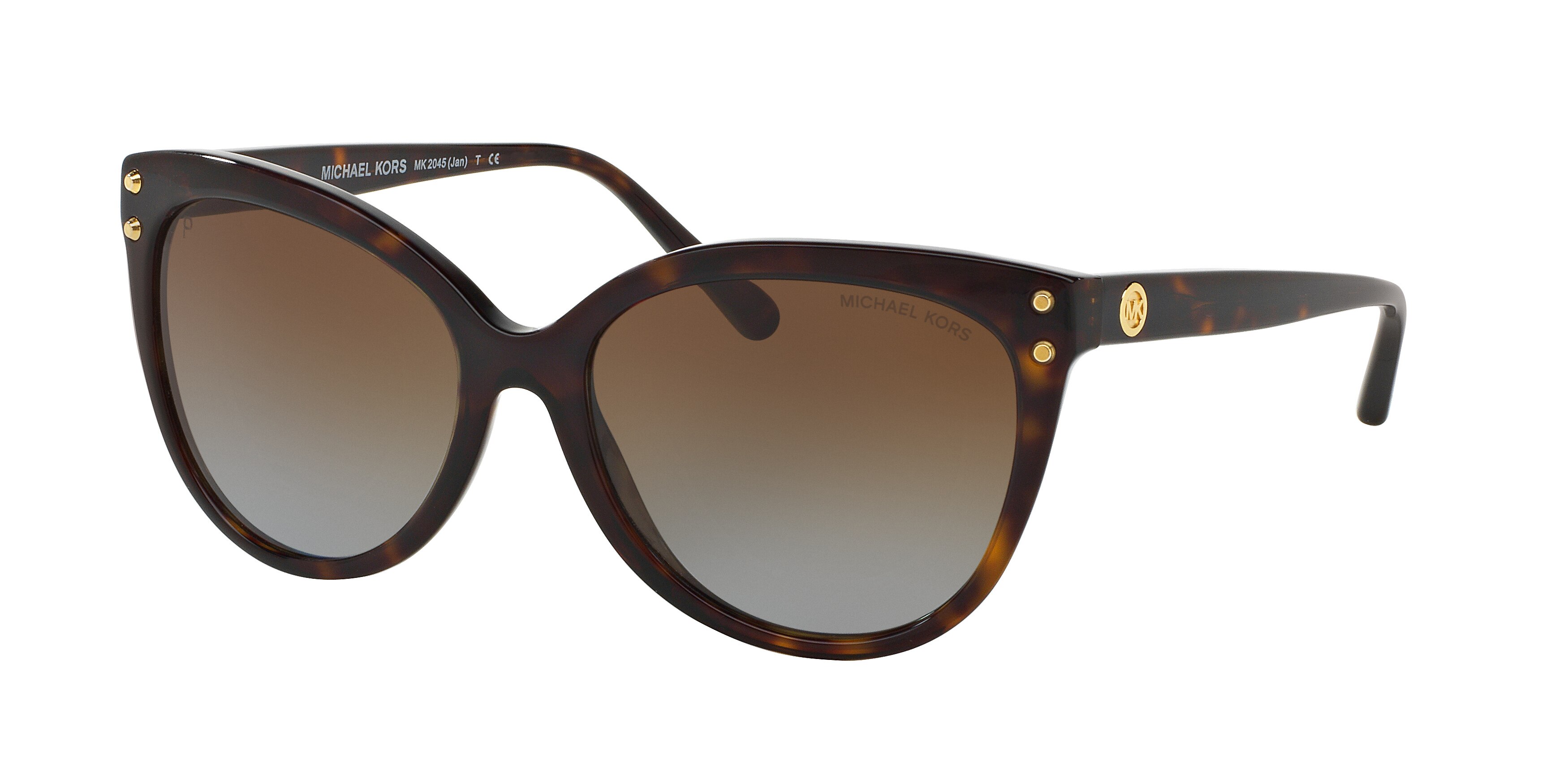  brown gradient polarized/dark tortoise acetate