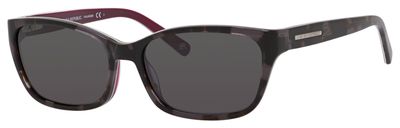  gray polarized/black tortoise violet