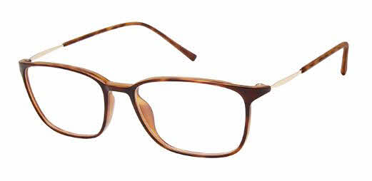  clear lens/havana
