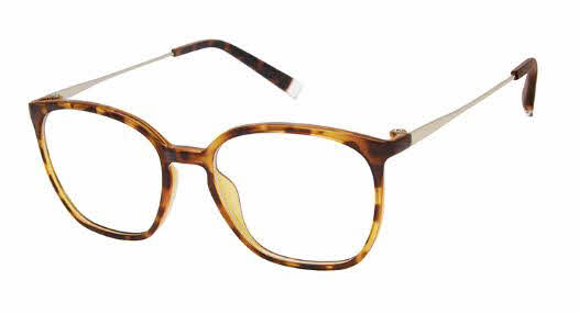  clear lens/havana