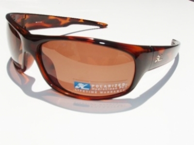  copper polarized/tortoise