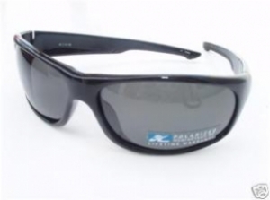  gray polarized/black