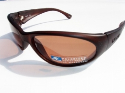  brown polarized/brown