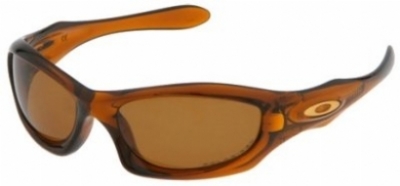  bronze polarized/dark amber