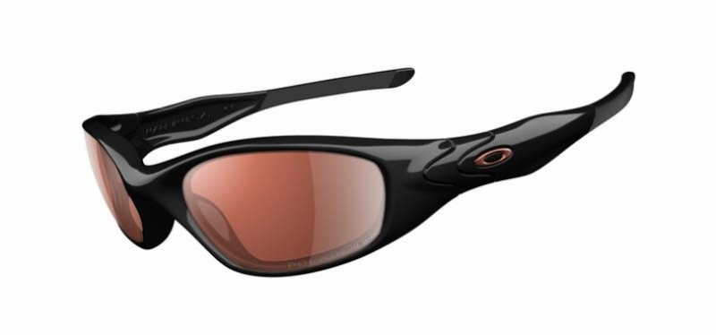  vr28polarized/polishedblack