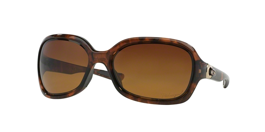  brown gradient polarized/tortoise