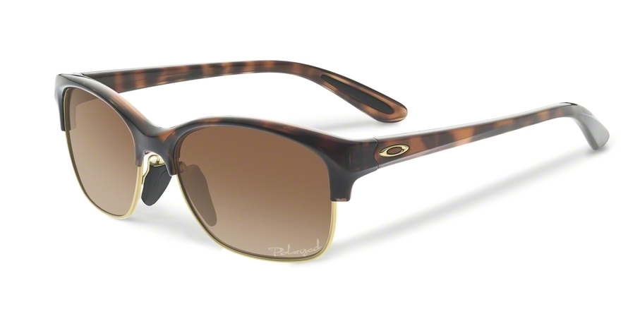  brown gradient polarized/tortoise