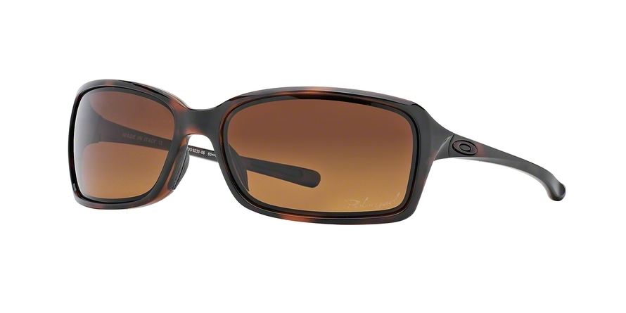  brown gradient polarized/tortoise