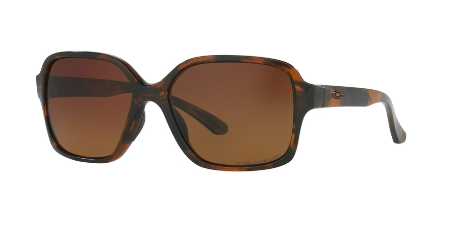  brown gradient polarized/tortoise