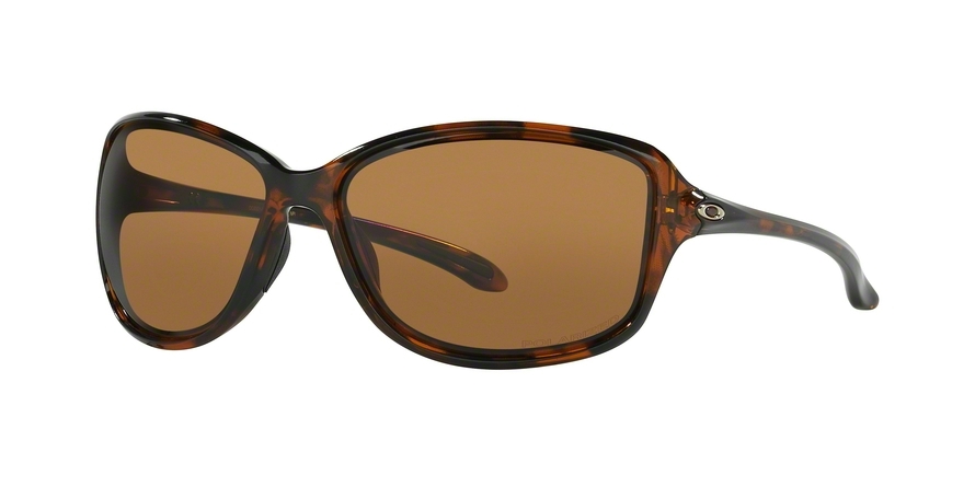  bromze polarized/tortoise