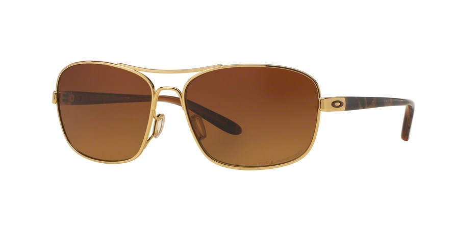  brown gradient polarized/polished gold