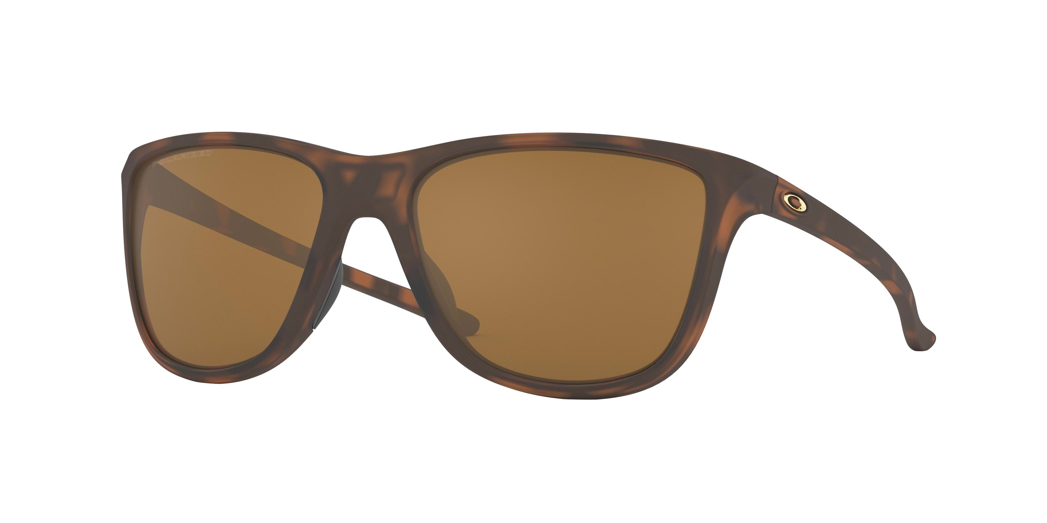  tungsten iridium polarized/matte brown tortoise