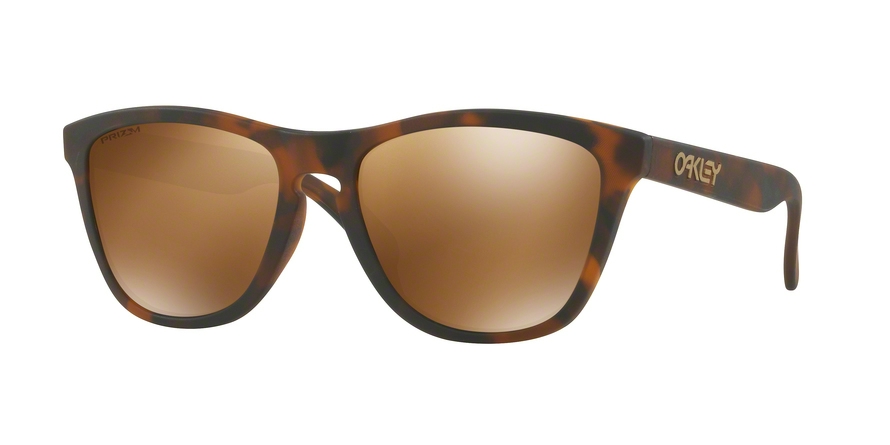  prizm tungsten polarized/matte brown tortoise