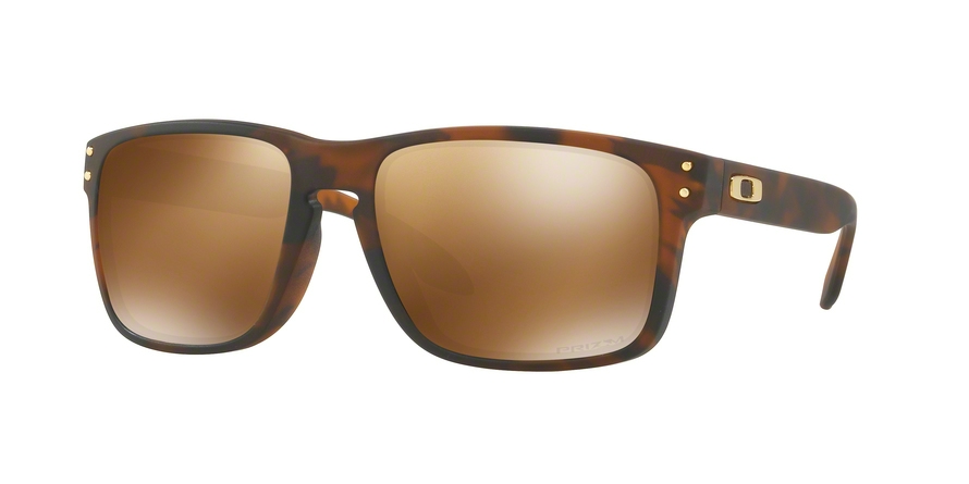  prizm tungsten polarized/matte brown tortoise