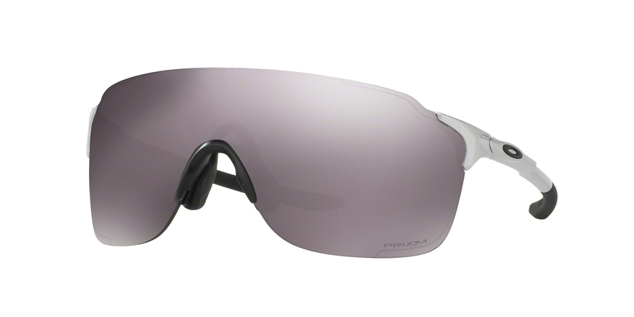  prizm daily polarized/silver