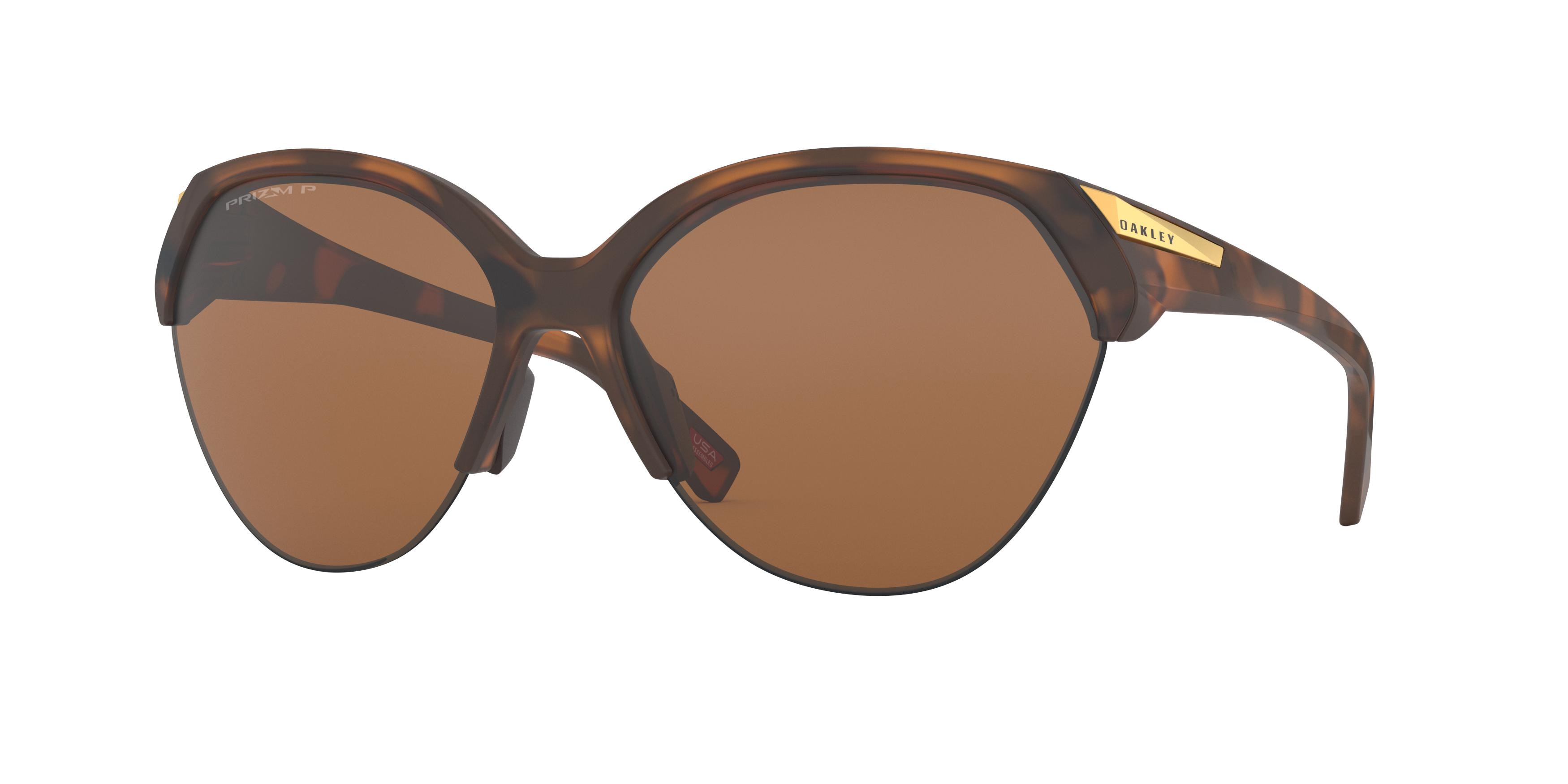  prizm tungsten polarized/matte brown tortoise