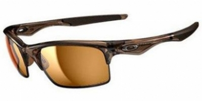  bronze polarized/brown smoke