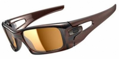  bronze polarized/polished rootbeer