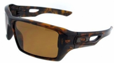  bronze polarized/tortoise