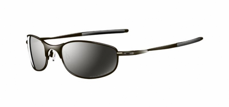  polarized/pewter