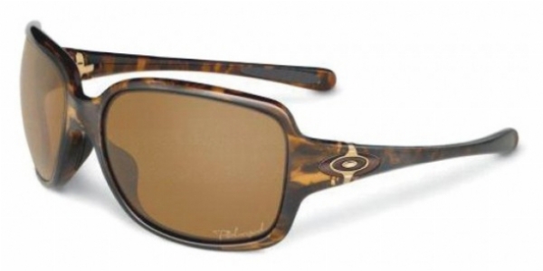  bronze polarized/tortoise