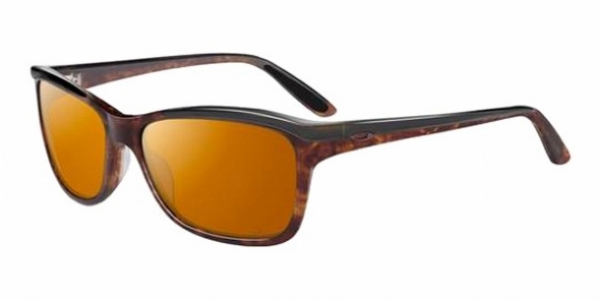  bronze polarized/havanblack