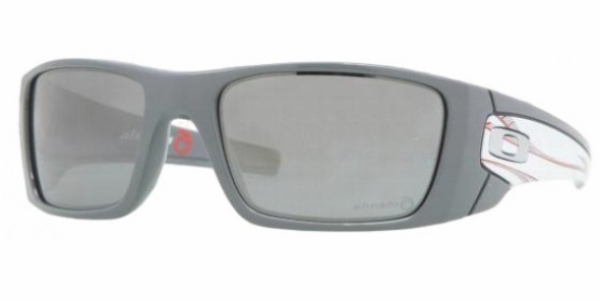  grey irridium polarized /alinghi signature polished black