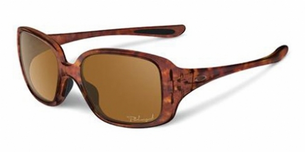  bronze polarized/tortoise