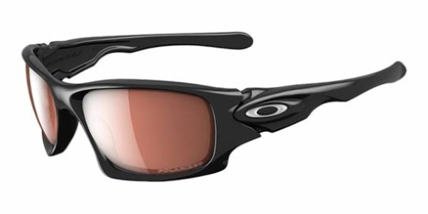  polarized/polished black