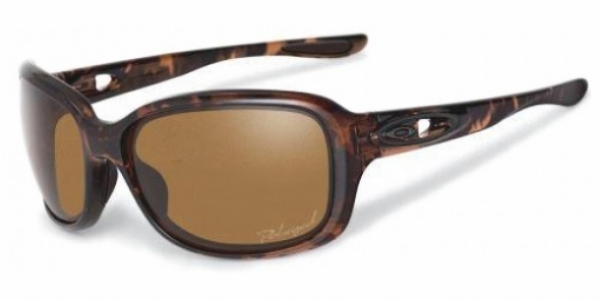  bronze polarized/tortoise