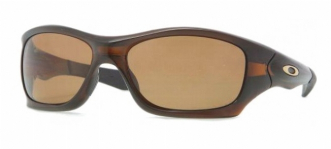  bronze polarized/rootbeer