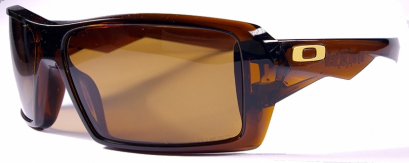  bronze polarized/polished rootbeer