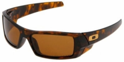  bronze polarized/brown tortoise