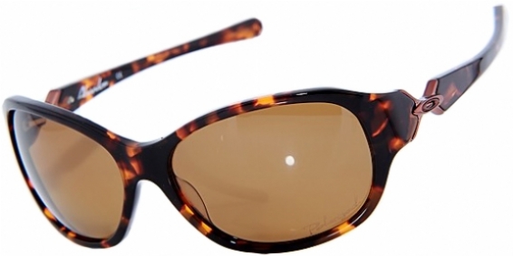  bronze polarized/tortoise